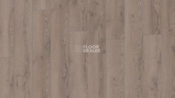 Kronotex Mammut Plus d4727 Дуб Горный Серый фото 2 | FLOORDEALER