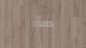 Kronotex Mammut Plus d4727 Дуб Горный Серый фото 2 | FLOORDEALER