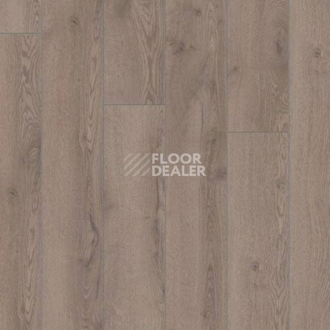 Kronotex Mammut Plus d4727 Дуб Горный Серый фото 2 | FLOORDEALER
