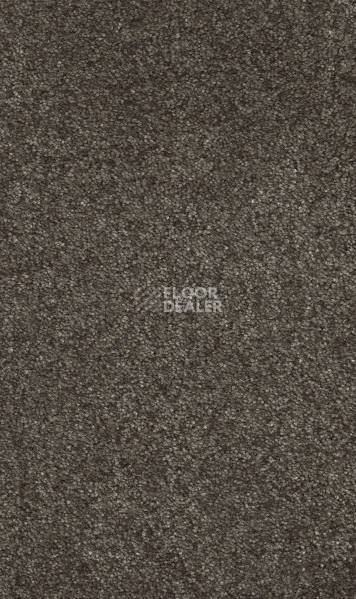 Ковролин AW Tossa 44 фото 1 | FLOORDEALER
