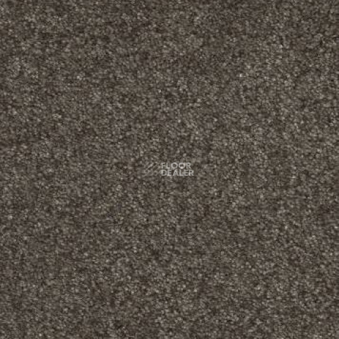 Ковролин AW Tossa 44 фото 1 | FLOORDEALER