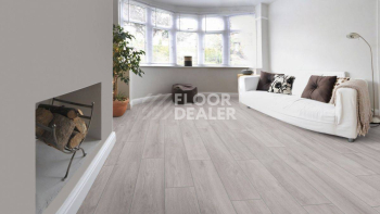 Kronotex Robusto 12мм d4956 Дуб Серый Премиум фото 2 | FLOORDEALER