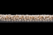 Escom Prestige 310 фото 3 | FLOORDEALER