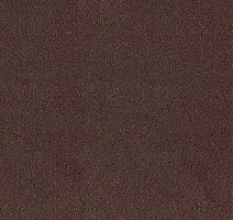 Ковролин Desso Asteranne 2951 фото 1 | FLOORDEALER