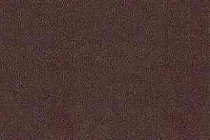 Ковролин Desso Asteranne 2951 фото  | FLOORDEALER