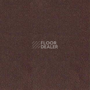 Ковролин Desso Asteranne 2951 фото 1 | FLOORDEALER