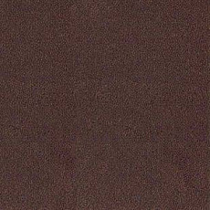 Ковролин Desso Asteranne 2951 фото 1 | FLOORDEALER