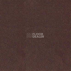 Ковролин Desso Asteranne 2951 фото 1 | FLOORDEALER