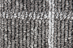 Ковролин Timzo Dundee 2923 фото  | FLOORDEALER