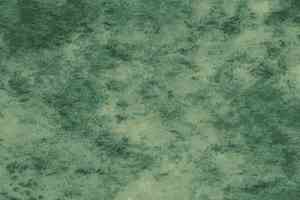 Линолеум Novoflor Standard 3100_3 фото  | FLOORDEALER