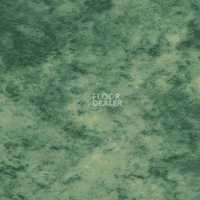 Линолеум Novoflor Standard 3100_3 фото 1 | FLOORDEALER
