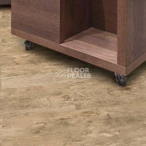 Wood OAK ANTIQUE фото 2 | FLOORDEALER