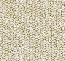 Ковролин Balsan Centaure 2000 Centaure 620 фото 1 | FLOORDEALER