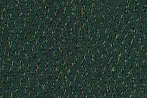 Ковролин Desso Champion 8922 фото  | FLOORDEALER