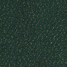 Desso Champion 8922 фото 1 | FLOORDEALER