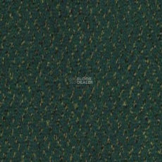 Desso Champion 8922 фото 1 | FLOORDEALER