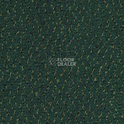 Ковролин Desso Champion 8922 фото 1 | FLOORDEALER