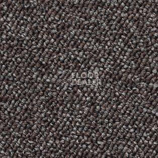 Ковролин AW Shelbourne 40 фото 1 | FLOORDEALER