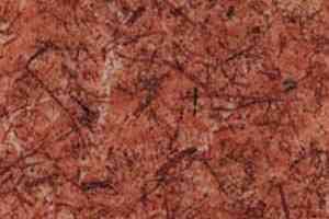 Линолеум Grabo Durity 4175-454 фото  | FLOORDEALER