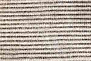 Ковролин Carpet Concept Eco 1 6651 фото  | FLOORDEALER