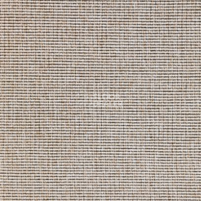 Ковролин Carpet Concept Eco 1 6651 фото 1 | FLOORDEALER