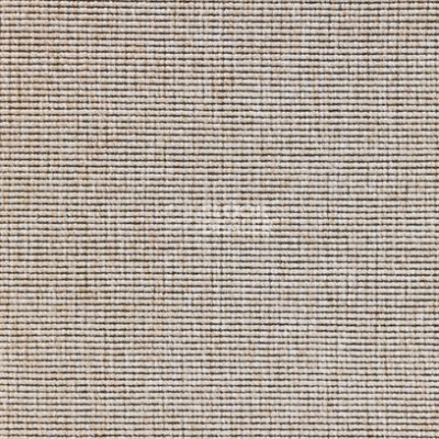 Ковролин Carpet Concept Eco 1 6651 фото 1 | FLOORDEALER