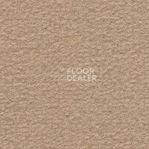 Ковролин Balsan Altitude Altitude 725 фото 1 | FLOORDEALER