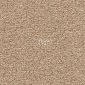 Ковролин Balsan Altitude Altitude 725 фото 1 | FLOORDEALER