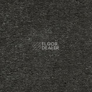 Ковролин AW Magnificus 98 фото 1 | FLOORDEALER