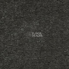 Ковролин AW Magnificus 98 фото 1 | FLOORDEALER