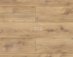 Ламинат Kronopol Platinium Enigma AQUA BLOCK 8mm Kronopol Platinium Enigma Aqua Block 24h Дуб Мэдисон D3308 фото 1 | FLOORDEALER