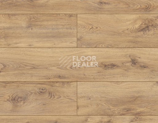 Ламинат Kronopol Platinium Enigma AQUA BLOCK 8mm Kronopol Platinium Enigma Aqua Block 24h Дуб Мэдисон D3308 фото 1 | FLOORDEALER