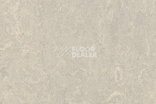 Виниловая плитка ПВХ Marmoleum Modular Marble 3136 фото 1 | FLOORDEALER