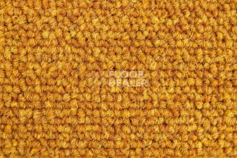 Escom Object 64049 фото 2 | FLOORDEALER
