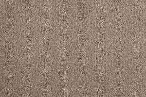 Ковролин Big Divine 334 фото  | FLOORDEALER