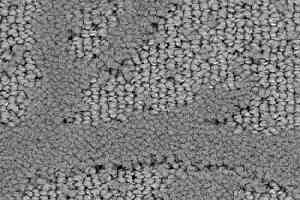 Ковролин Balsan Ming 920 фото  | FLOORDEALER