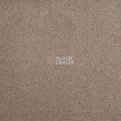 Ковролин Big Divine 334 фото 1 | FLOORDEALER