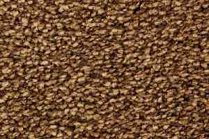 Ковролин Edel Wild Romance 123 фото  | FLOORDEALER