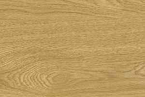 Пробковое покрытие Wood Xl Oak  Deluxe фото  | FLOORDEALER