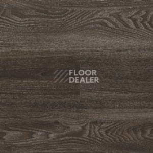 Линолеум Polyflor Expona Wood 6184 фото 1 | FLOORDEALER