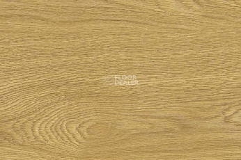 Пробковое покрытие Wood Xl Oak  Deluxe фото 1 | FLOORDEALER