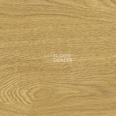 Пробковое покрытие Wood Xl Oak  Deluxe фото 1 | FLOORDEALER