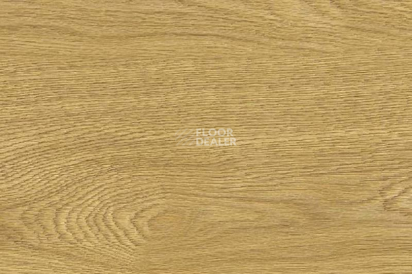 Пробковое покрытие Wood Xl Oak  Deluxe фото 1 | FLOORDEALER