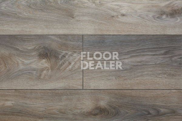 Ламинат My Floor Residence 10мм ML1011 Дуб Макро Серый фото 5 | FLOORDEALER