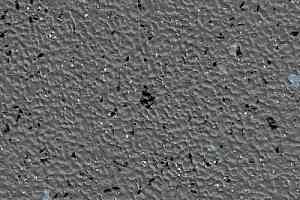 Линолеум Stop F 2.5 1380-604-03-263 фото  | FLOORDEALER