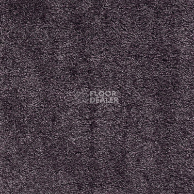 Ковролин AW Masquerade Fedone 17 фото 1 | FLOORDEALER