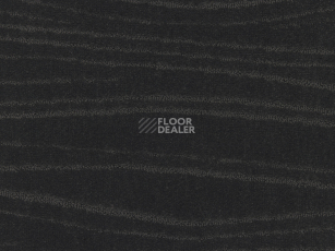 Ковролин Carve Linea 812 Charcoal 2 фото 1 | FLOORDEALER