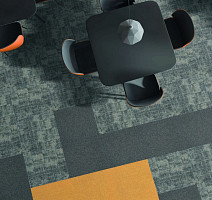 Tarkett Domino 31693 Domino фото 2 | FLOORDEALER