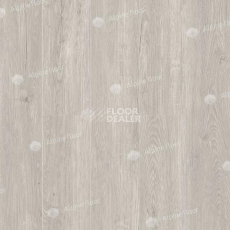 Кварцвиниловые полы Alpine Floor Sequoia (LVT) Секвойя Титан ЕСО 6-1 LVT фото 1 | FLOORDEALER