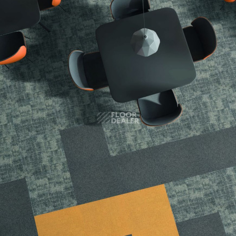 Tarkett Domino 31693 Domino фото 2 | FLOORDEALER